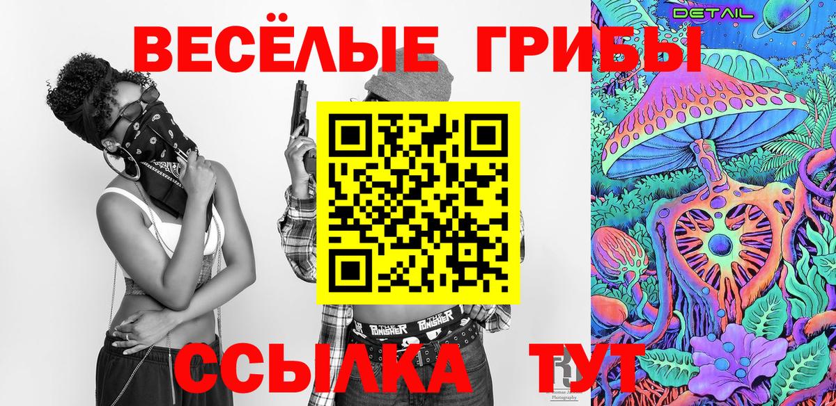 Ахтубинск  Галлюциногенные грибы прущие грибы  Вход с VPN 
